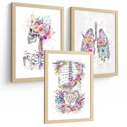 POSTER Set aus 3 Anatomie Drucke und Dekorative mit Skelett Schädel Wirbelsäule Rippen Lungen und Verdauungssystem Künstlerischer Größe Rahmenlos A4
