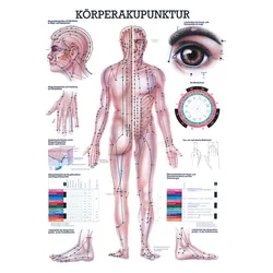 anat. Mini-Poster: Körperakupunktur 24 x 34 cm, Papier