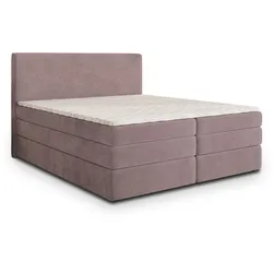 BOXSPRINGBETT MATERN 180x200 cm mit Matratze und Topper - Rosa