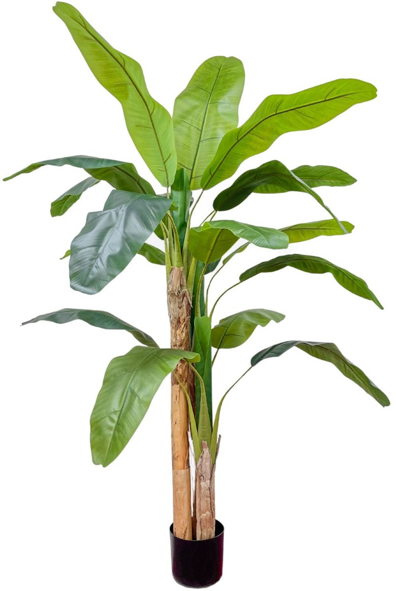 PrettyPlants Bananen Kunstplant, 180 cm, Groene Kunstboom voor Binnen
