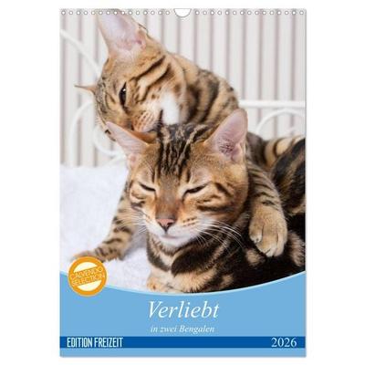 Verliebt in zwei Bengalen (Wandkalender 2026 DIN A3 hoch), CALVENDO Monatskalender