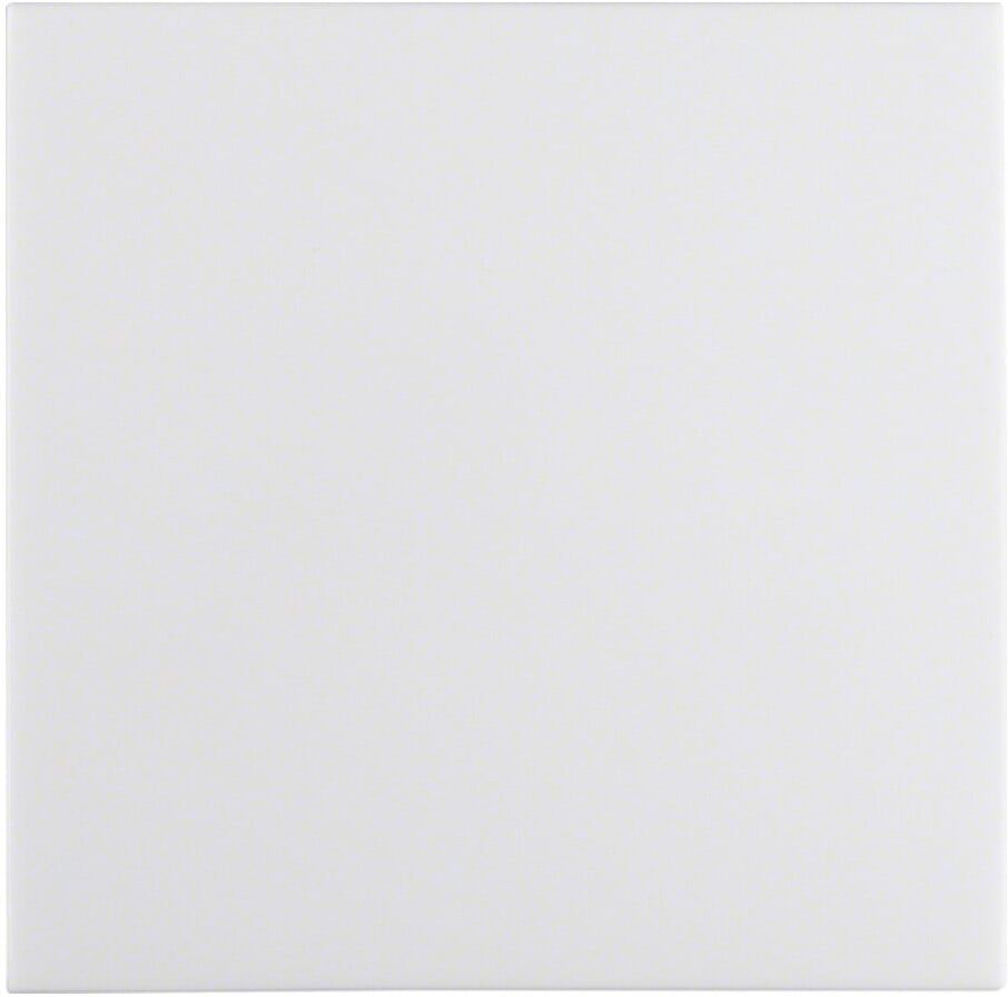 Berker Wippe pws/gl 16208989)