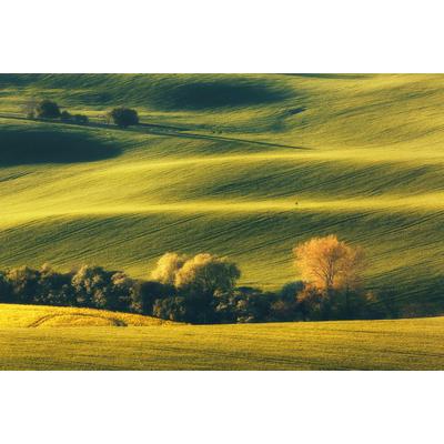 Fototapete PAPERMOON "Landschaft mit Bäumen", bunt, B:4m L:2,6m, Vlies, Tapeten