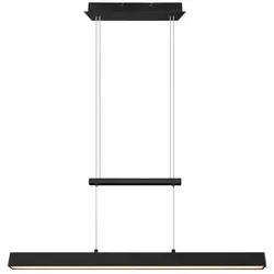 Reality Leuchten LED-Pendelleuchte Paros Alu, Eisen, Stahl & Metall Schwarz
