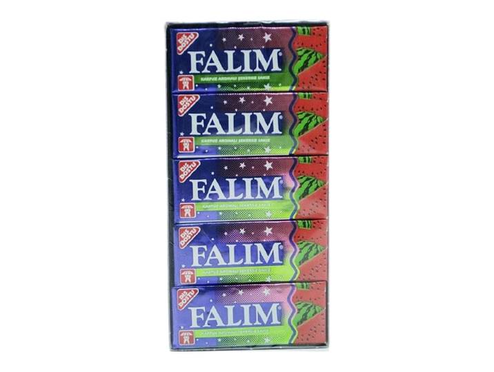 Falim Watermeloen Suikervrije Kauwgom - 5 x 20 g