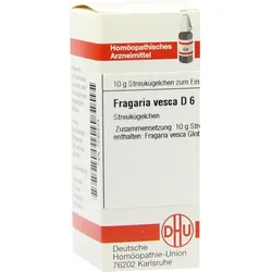 FRAGARIA VESCA D 6 Globuli 10 g Globuli