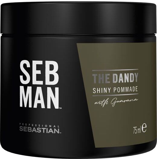 75ml Sebastian SEB MAN The Dandy Shiny Pomade