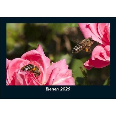 Bienen 2026 Fotokalender DIN A5
