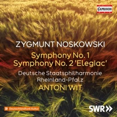 Sinfonie 1 & 2 - Antoni Wit,Deutsche Staatsphilharmonie RP, CD