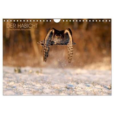 DER HABICHT, Des Falkners Allrounder (Wandkalender 2027 DIN A4 quer), CALVENDO Monatskalender