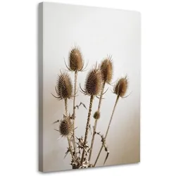 LEINWANDBILD Getrocknete Disteln Pflanzen in Beige 80x120cm