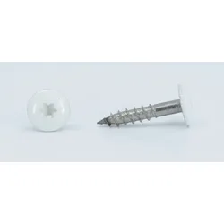 Trespo - Edelstahl A4 - 5,5x45 - TX20 - RAL 9010 - Reinweiß