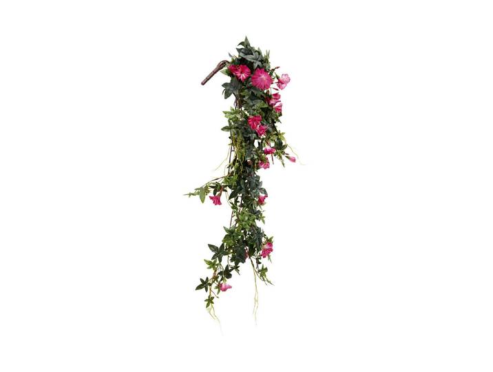 Mica Hängende Petunie Fuchsia 80 cm