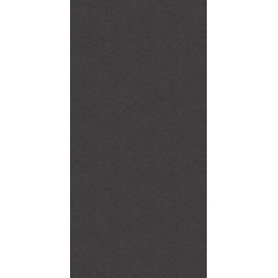 HÜPPE EasyStyle Wandverkleidung 100 × 255 cm, ES010142V, Farbe: Autumn anthracite