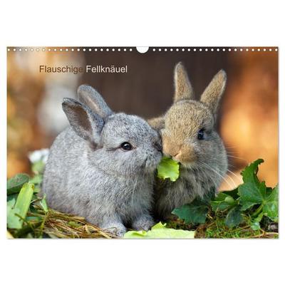 Flauschige Fellknäuel (Wandkalender 2026 DIN A3 quer), CALVENDO Monatskalender