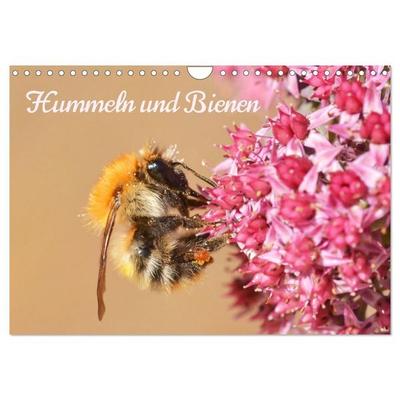 Hummeln und Bienen (Wandkalender 2027 DIN A4 quer), CALVENDO Monatskalender