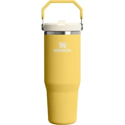IceFlow 2.0 Thermobecher mit Griff und Strohhalm, Daffodil, 890 ml