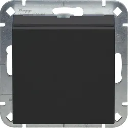 Kopp 492315008 HK07 - Hotelkartenschalter, Farbe: anthrazit