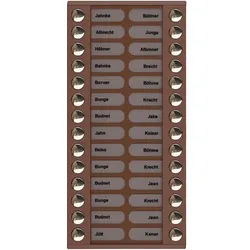 TCS Tür Control Audioaußenstation 2-reihig PET28-EB/04