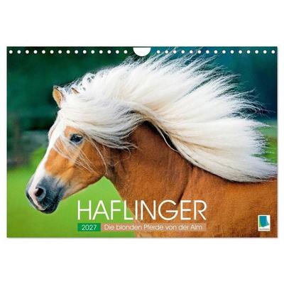 Haflinger: Die blonden Pferde von der Alm (Wandkalender 2027 DIN A4 quer), CALVENDO Monatskalender
