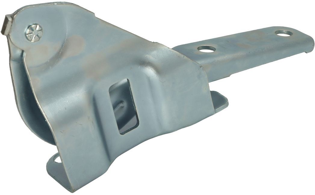Elemente der Motorhaube BLIC 6802-00-8305452P