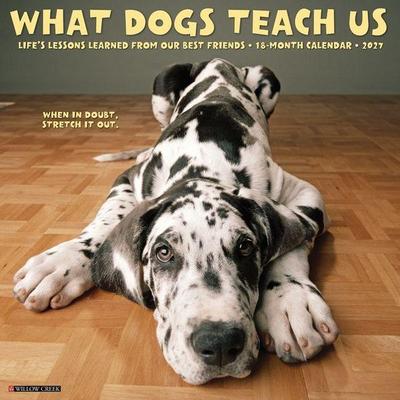 What Dogs Teach Us 2027 12 X 12 Wall Calendar