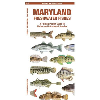 Maryland Freshwater Fishes, Geheftet von Matthew Morris Morris, Globe Pequot Publishing Group Inc, 978-1-62005-680-6