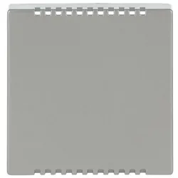 Busch-Jaeger Zentralscheibe eds 6541-866