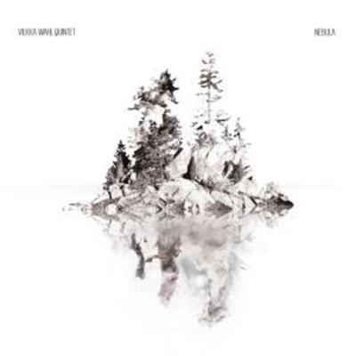 Nebula - Vilkka Wahl Quintet with Jure Pukl, CD