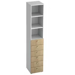 Cantus Kombischrank PROFI - B/H/T ca. 40.00x215.60x42.00