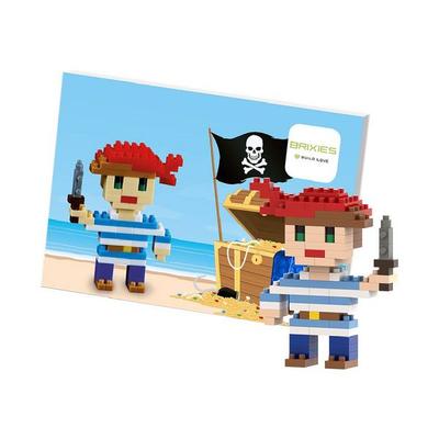BRIXIES 220029 - Postkarte Pirat, 3D Konstruktionsbausatz aus Ministeinen, 76 Teile