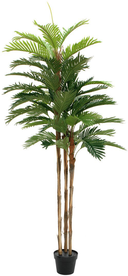 Europalms Kentia Palme, Kunstpflanze, 180cm