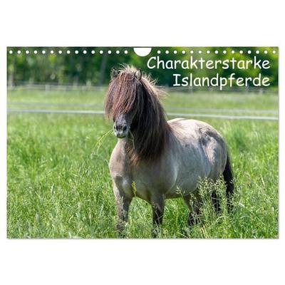 Charakterstarke Islandpferde (Wandkalender 2026 DIN A4 quer), CALVENDO Monatskalender