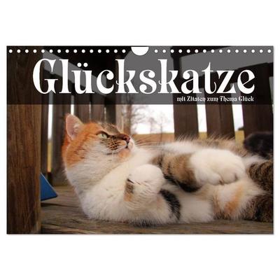 Glückskatze - Mit Zitaten zum Thema Glück (Wandkalender 2026 DIN A4 quer), CALVENDO Monatskalender
