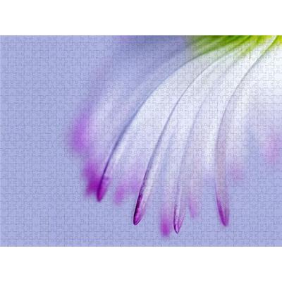 CALVENDO Puzzle DEEP INSIDE - Gänseblümchen | 2000 Teile Lege-Größe 90x67cm Foto-Puzzle für glückliche Stunden