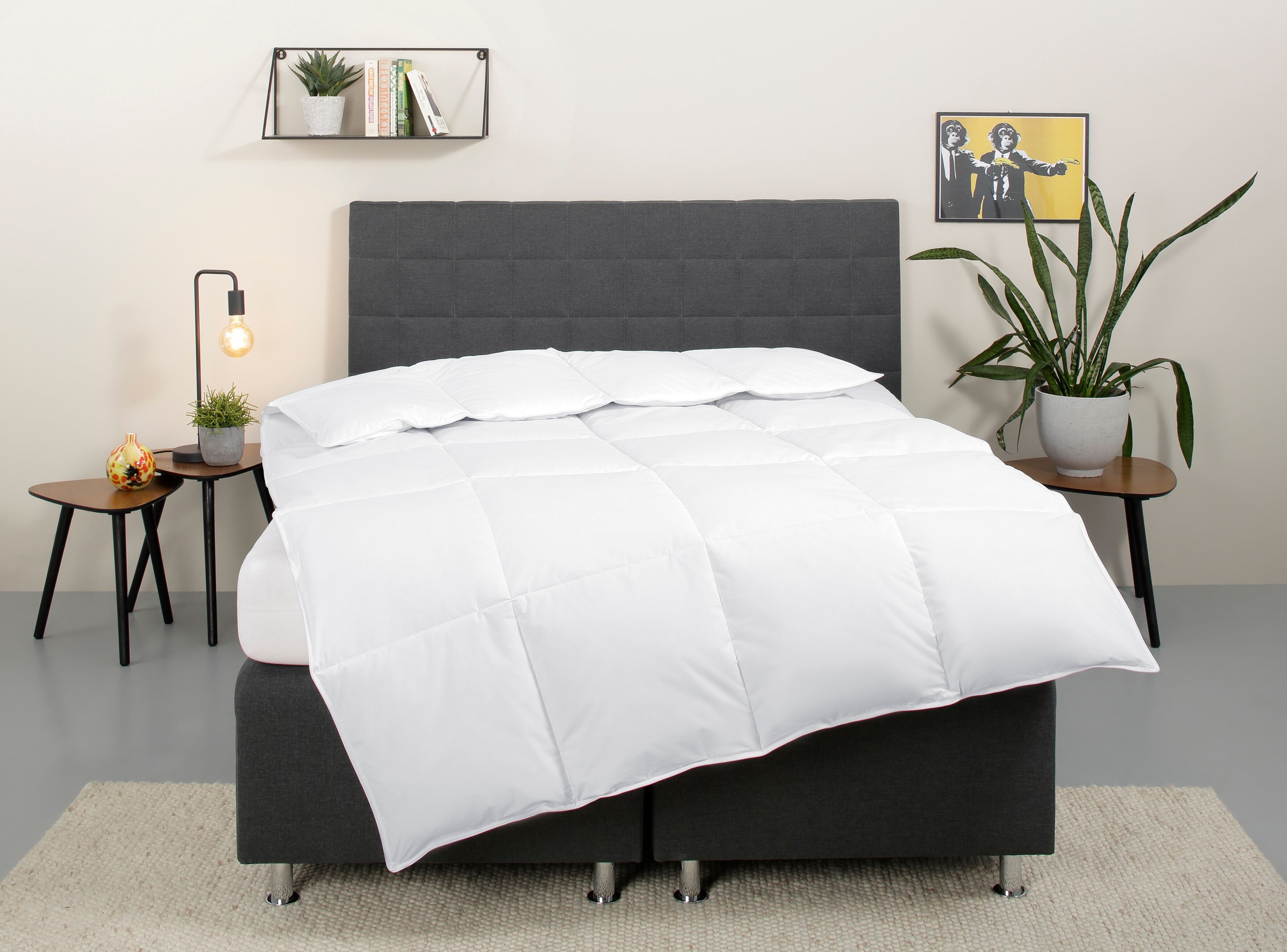 Daunenbettdecke OTTO HOME "Cyra, Bettdecke 135x200 cm, 155x220 cm", weiß, B:135cm L:200cm, Bezug: 100% Baumwolle. Füllung: 70% Entendaune, 30% Entenfeder, Bettdecken, wo besonders auf artgerechte Haltung der Tiere geachtet wird