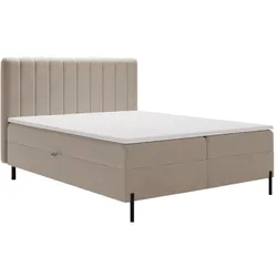 BOXBETT Primavera 160x200 Beige