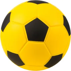Sport-Thieme, Fussbälle, (3)