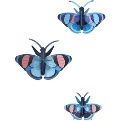 WANDDEKO Azur-Flug-Trio 5/13 cm