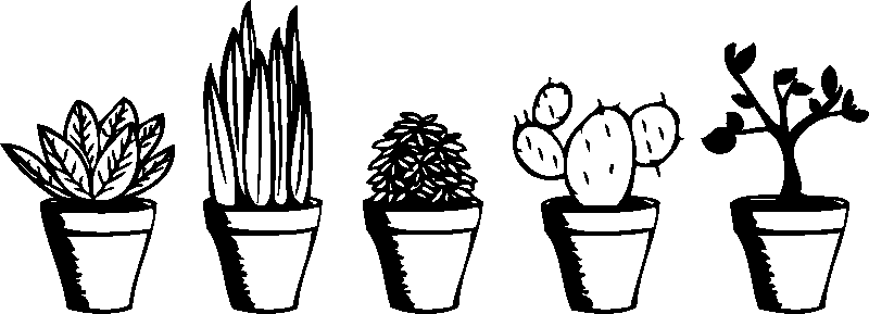 Ambiance-sticker Sticker plantes différentes exotiques
