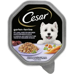 Cesar EdC Gruß der Saison 14x150 g
