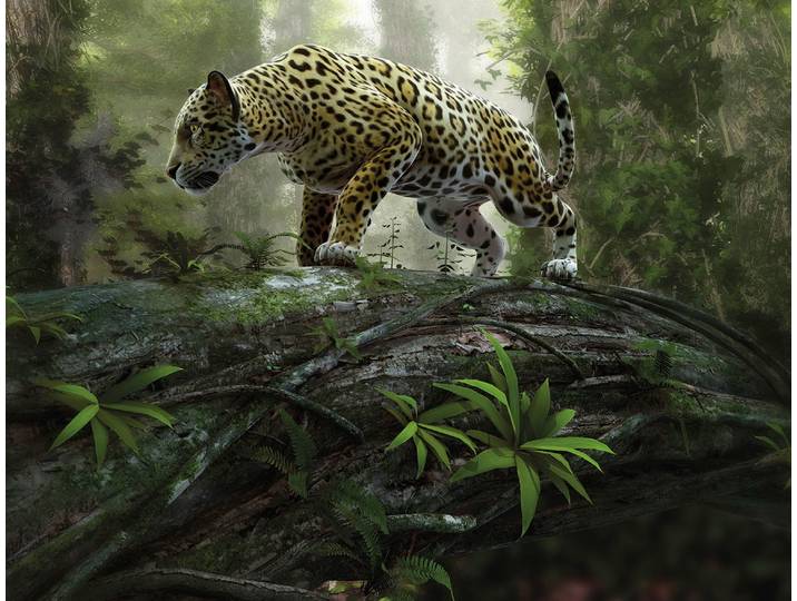 Fototapete PAPERMOON Jaguar on the Prowl , bunt, B:2m L:1,49m, Vlies, Tapeten, Fototapete