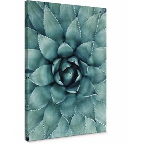 AS-Creation Wandbild Agave, Leinwand, Hochformat, 50 x 70 cm