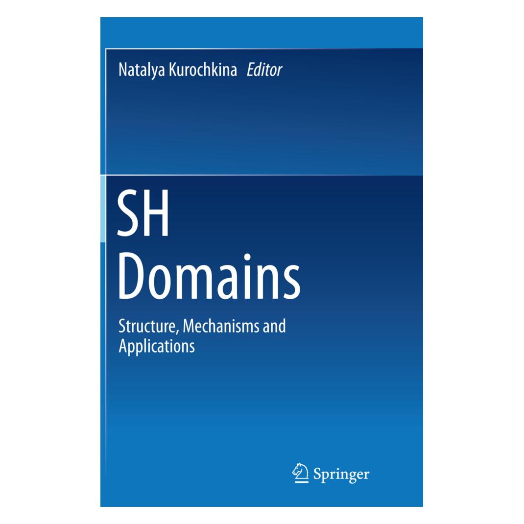 Springer SH Domains (Englisch, Softcover, Natalya Kurochkina) (55854997)