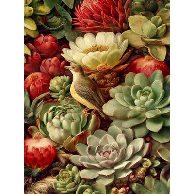 CALVENDO Puzzle Sukkulenten, Meister der Anpassung, schön in ihrer Schlichtheit | 1000 Teile Lege-Größe 64x48cm Foto-Puzzle für glückliche Stunden,
