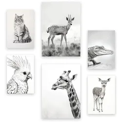 POSTER Set Mit 6 Bleistifttiere A3 & A4 Rahmenlos