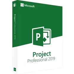 Microsoft Project 2019 Professional