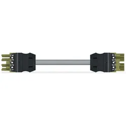 Wago 771-9294/015-505 konfektionierte Verbindungsleitung,B2ca,Buchse Stecker 7719294015505