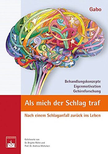 Gabo - Als mich der Schlag traf: Nach einem Schlaganfall zurück ins Leben - Preis vom 13.10.2026 11:25:28 h