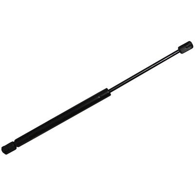 JP GROUP Gasfeder, Koffer-/Laderaum beidseitig 4381201200 für RENAULT